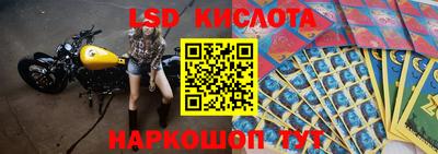 крисы Кунгур
