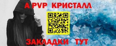 крисы Кунгур