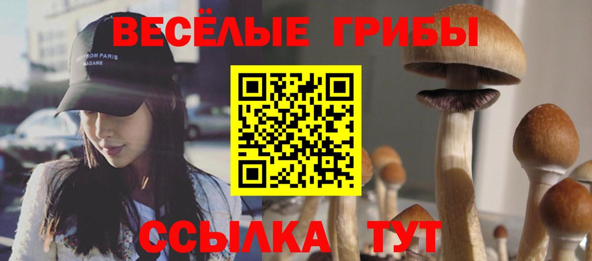 Галлюциногенные грибы MAGIC MUSHROOMS  Псилоцибиновые грибы Psilocybine cubensis  что такое   Вход с VPN  Зеленокумск 